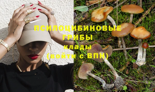 соль курить ск Богородск