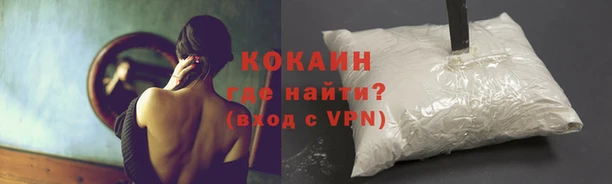 соль курить ск Богородицк